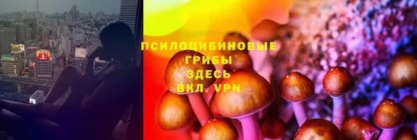 дурь Алексин