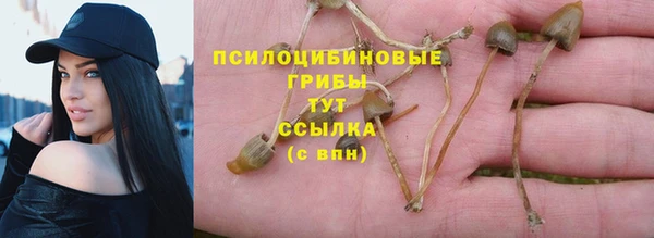 дурь Алексин