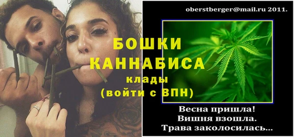 сатива Абдулино