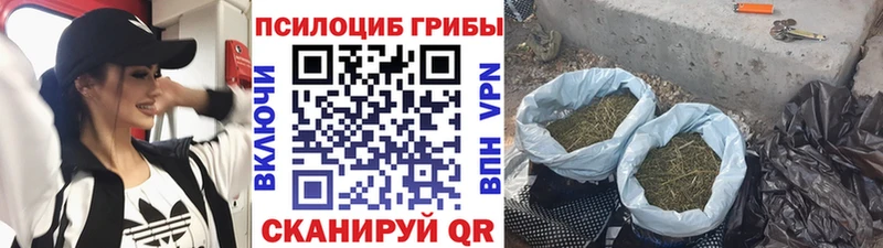 Галлюциногенные грибы Magic Shrooms  сколько стоит  Лебедянь 